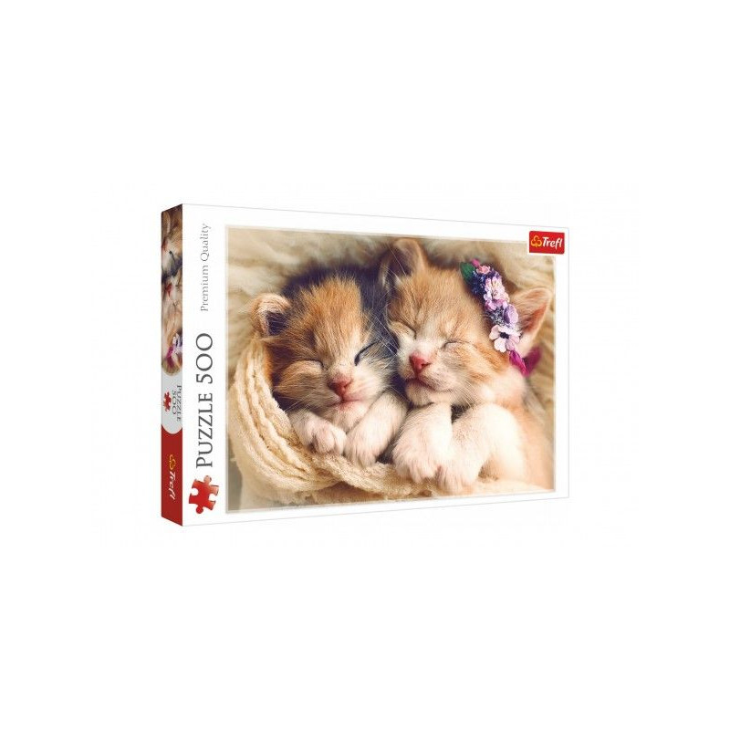 Puzzle Spící koťata 500 dílků 48 x 34 cm v krabici