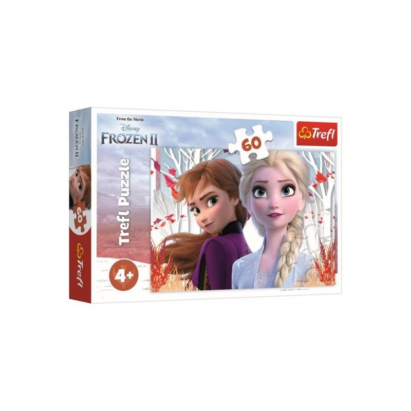 Puzzle Ledové království II/Frozen II 60 dílků 33x22cm v krabici 21x14x4cm